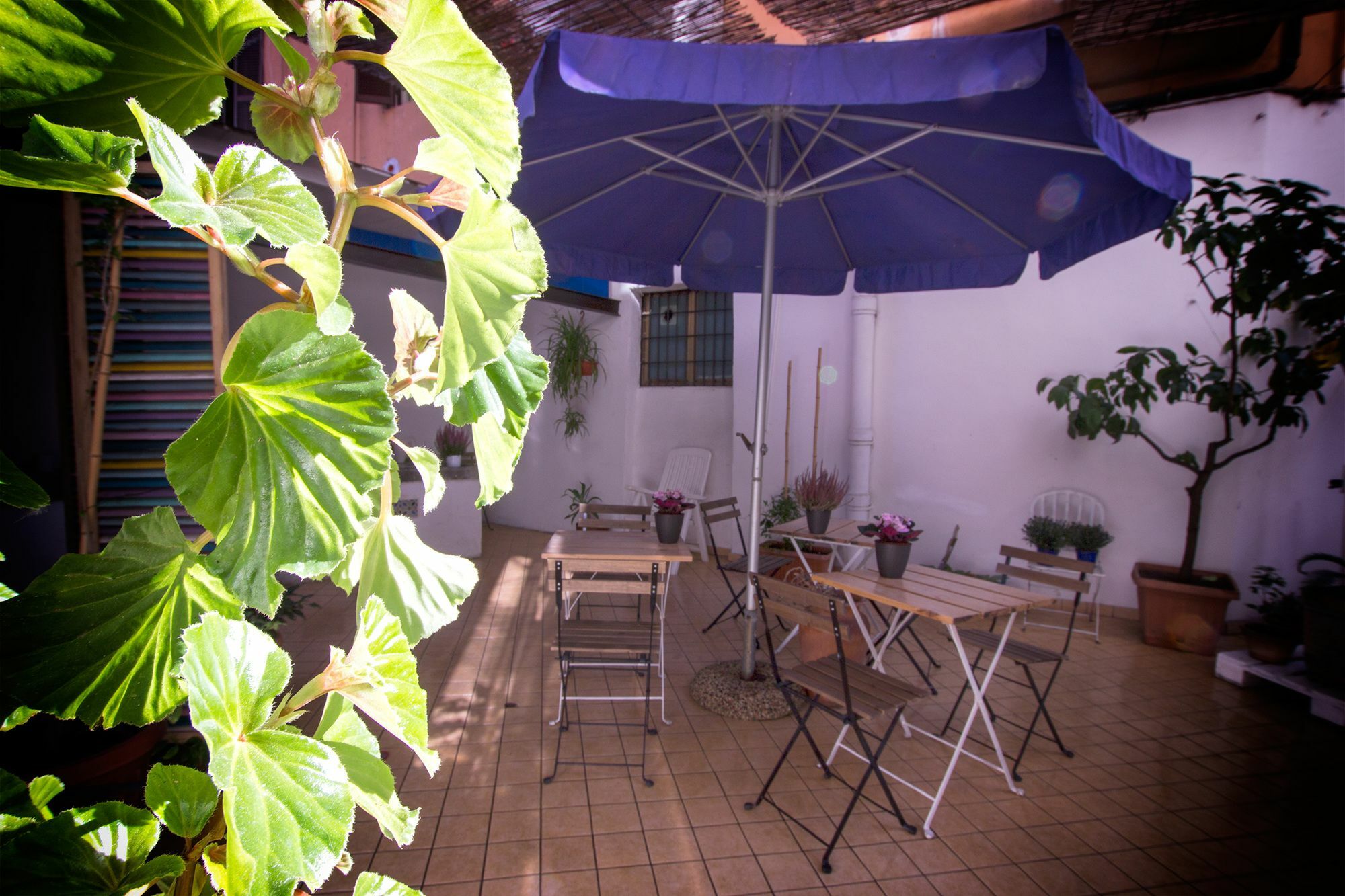 Casa Maplink Roma Exterior foto
